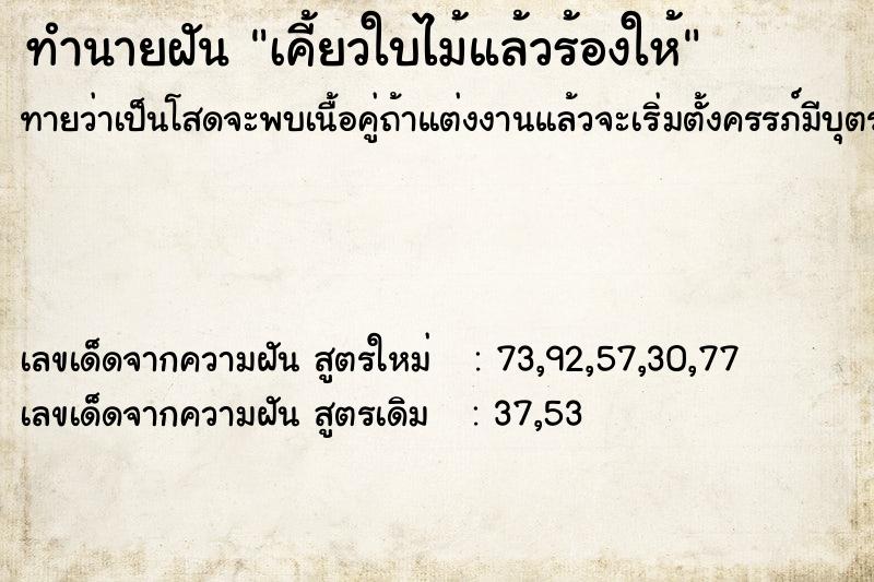 ทำนายฝันเคี้ยวใบไม้แล้วร้องให้ ทำนายฝันทำนายฝันเคี้ยวใบไม้แล้วร้องให้