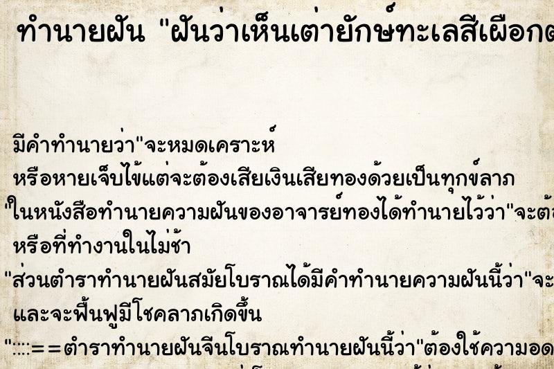 ทำนายฝันฝันว่าเห็นเต่ายักษ์ทะเลสีเผือกตาสีแดง ทำนายฝันทำนายฝันฝันว่าเห็นเต่ายักษ์ทะเลสีเผือกตาสีแดง