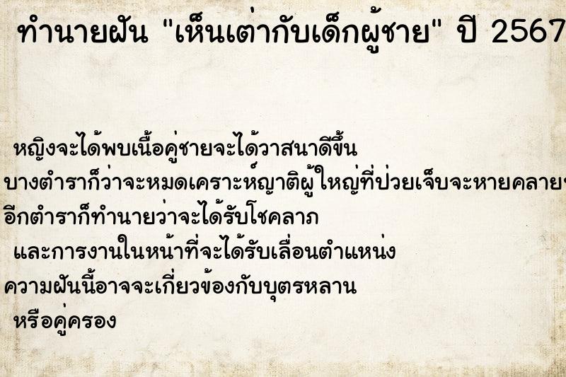 ทำนายฝันเห็นเต่ากับเด็กผู้ชาย ทำนายฝันทำนายฝันเห็นเต่ากับเด็กผู้ชาย