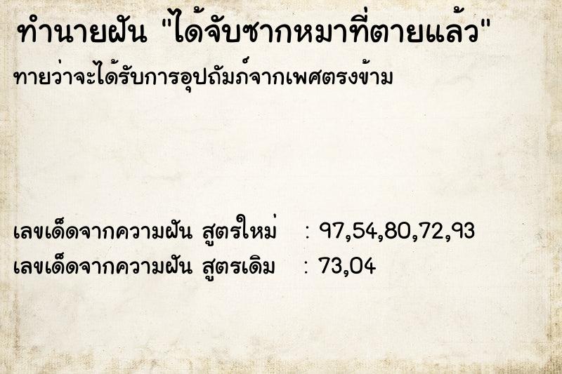 ทำนายฝันได้จับซากหมาที่ตายแล้ว ทำนายฝันทำนายฝันได้จับซากหมาที่ตายแล้ว