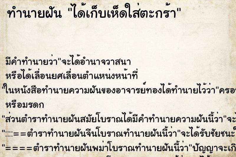 ทำนายฝัน ได้เก็บเห็ดใส่ตะกร้า ทำนายฝัน ได้เก็บเห็ดใส่ตะกร้า