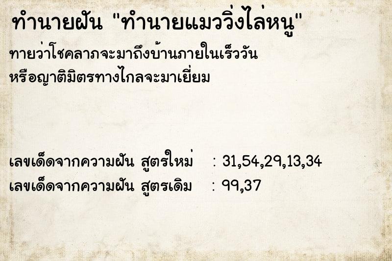 ทำนายฝันทำนายแมววิ่งไล่หนู ทำนายฝันทำนายฝันทำนายแมววิ่งไล่หนู