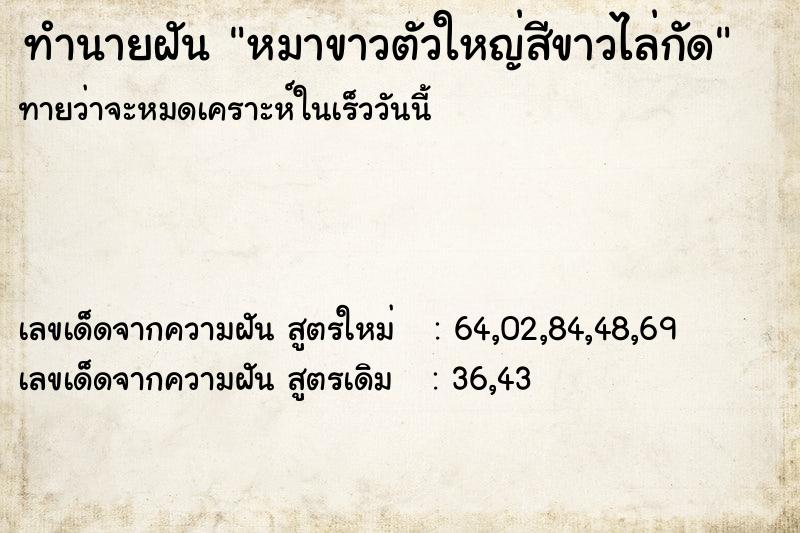 ทำนายฝันทำนายฝันหมาขาวตัวใหญ่สีขาวไล่กัด