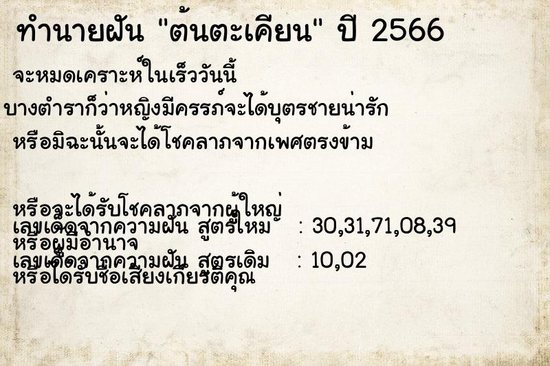 ทำนายฝัน ต้นตะเคียน ทำนายฝัน ต้นตะเคียน