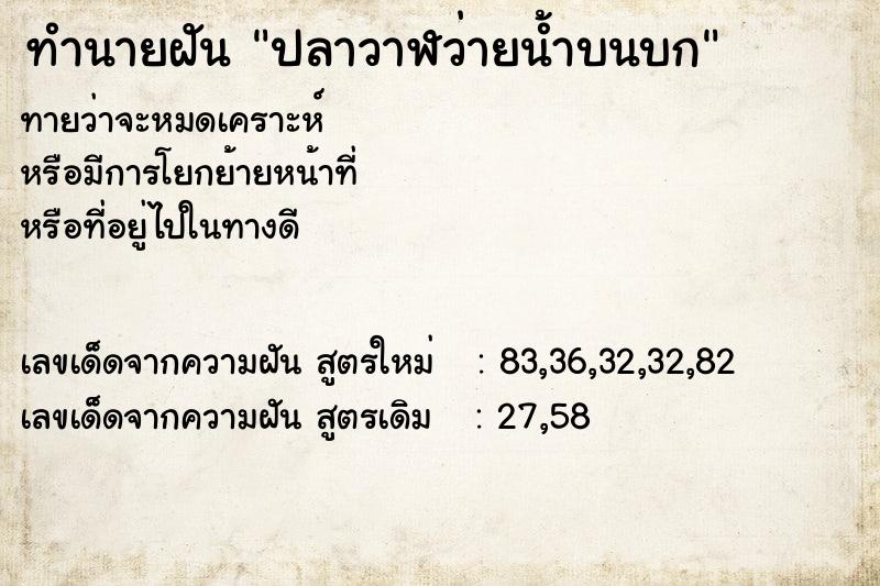 ทำนายฝันปลาวาฬว่ายน้ำบนบก ทำนายฝันทำนายฝันปลาวาฬว่ายน้ำบนบก