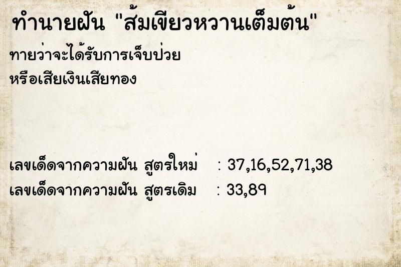 ทำนายฝันทำนายฝันส้มเขียวหวานเต็มต้น