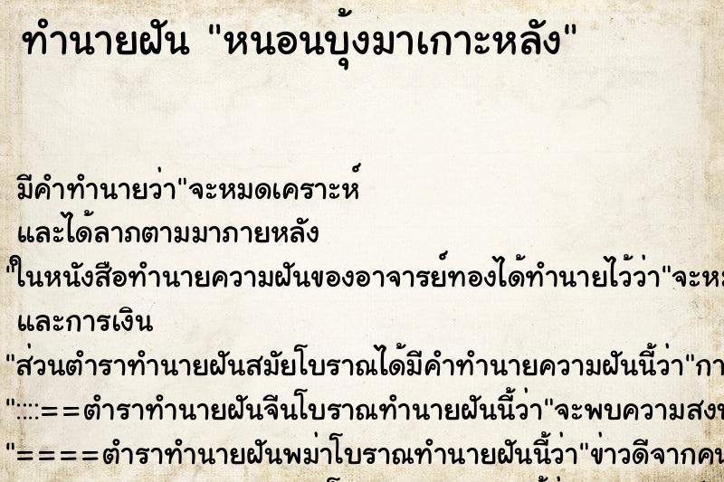 ทำนายฝันหนอนบุ้งมาเกาะหลัง ทำนายฝันทำนายฝันหนอนบุ้งมาเกาะหลัง