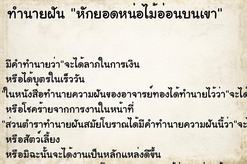 ทำนายฝันหักยอดหน่อไม้อ่อนบนเขา ทำนายฝันทำนายฝันหักยอดหน่อไม้อ่อนบนเขา