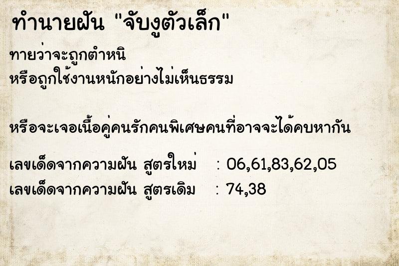 ทำนายฝันทำนายฝันจับงูตัวเล็ก