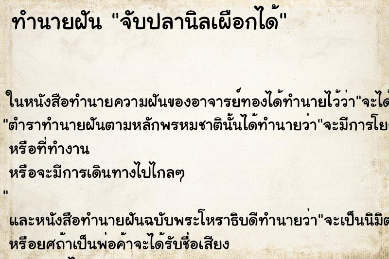 ทำนายฝันทำนายฝันจับปลานิลเผือกได้