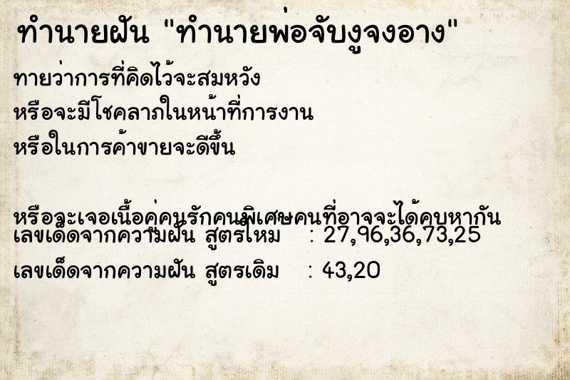 ทำนายฝันทำนายพ่อจับงูจงอาง ทำนายฝันทำนายฝันทำนายพ่อจับงูจงอาง