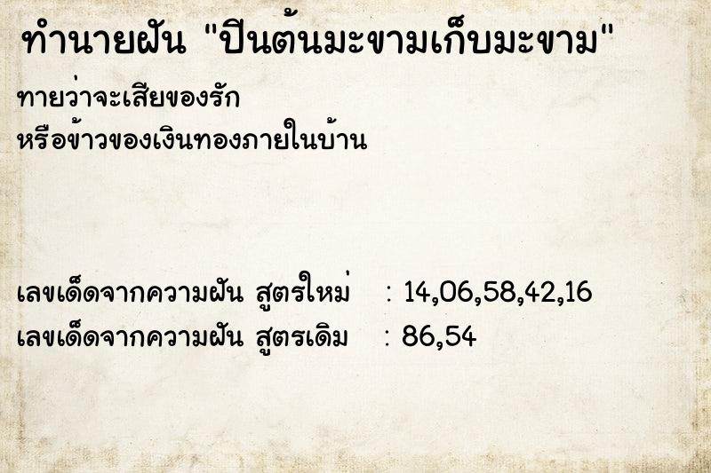 ทำนายฝันปีนต้นมะขามเก็บมะขาม ทำนายฝันทำนายฝันปีนต้นมะขามเก็บมะขาม