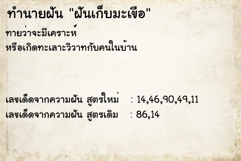 ทำนายฝันทำนายฝันฝันเก็บมะเขือ