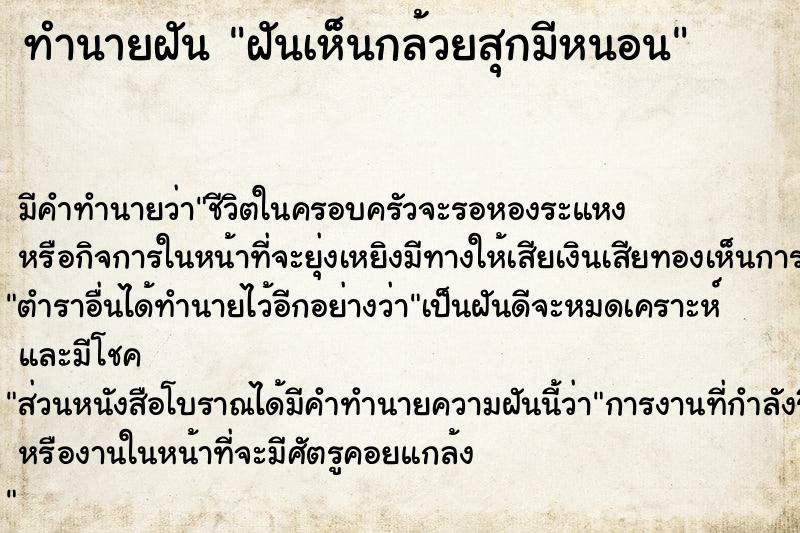 ทำนายฝันฝันเห็นกล้วยสุกมีหนอน ทำนายฝันทำนายฝันฝันเห็นกล้วยสุกมีหนอน