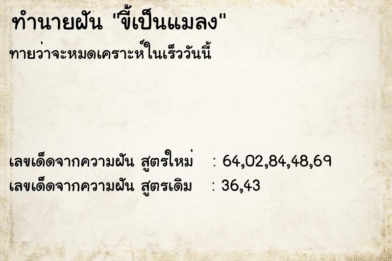 ทำนายฝันขี้เป็นแมลง ทำนายฝันทำนายฝันขี้เป็นแมลง