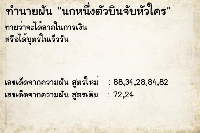 ทำนายฝันทำนายฝันนกหนึ่งตัวบินจับหัวใคร