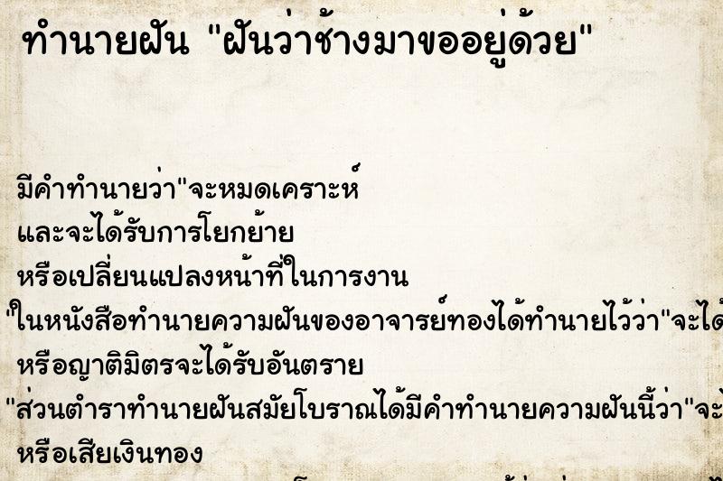 ทำนายฝัน ฝันว่าช้างมาขออยู่ด้วย ตำราโบราณ แม่นที่สุดในโลก