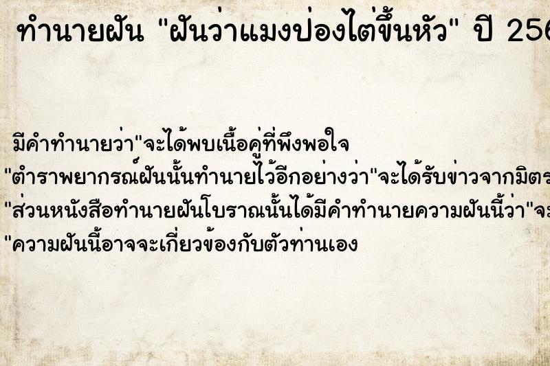 ทำนายฝันฝันว่าแมงป่องไต่ขึ้นหัว ทำนายฝันทำนายฝันฝันว่าแมงป่องไต่ขึ้นหัว