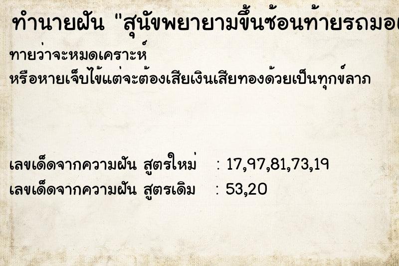 ทำนายฝันทำนายฝันสุนัขพยายามขึ้นซ้อนท้ายรถมอเตอร์ไซแต่ซ้อนไม่ได้ตก