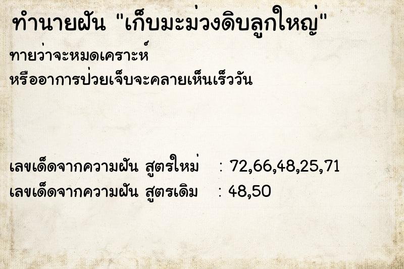 ทำนายฝันเก็บมะม่วงดิบลูกใหญ่ ทำนายฝันทำนายฝันเก็บมะม่วงดิบลูกใหญ่