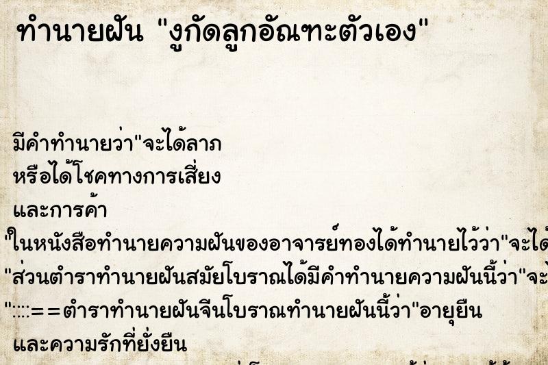 ทำนายฝัน งูกัดลูกอัณฑะตัวเอง ตำราโบราณ แม่นที่สุดในโลก