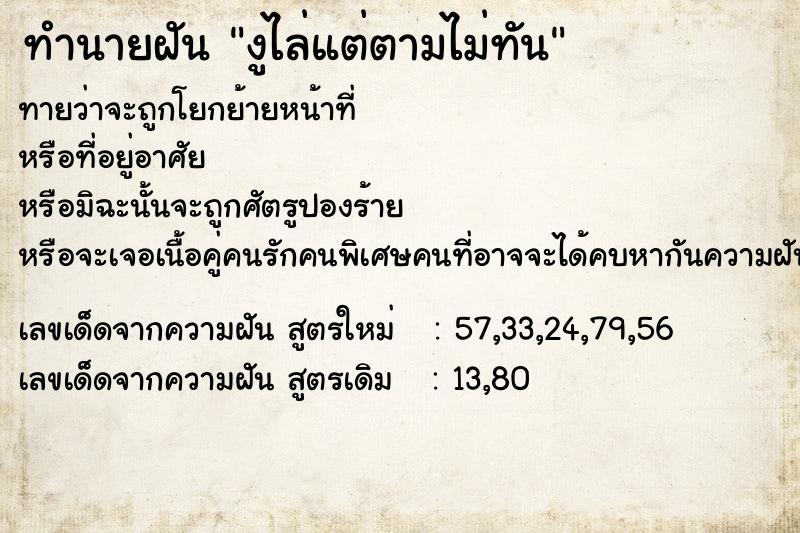 ทำนายฝันงูไล่แต่ตามไม่ทัน ทำนายฝันทำนายฝันงูไล่แต่ตามไม่ทัน