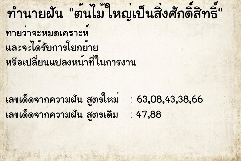 ทำนายฝันทำนายฝันต้นไม้ใหญ่เป็นสิ่งศักดิ์สิทธิ์