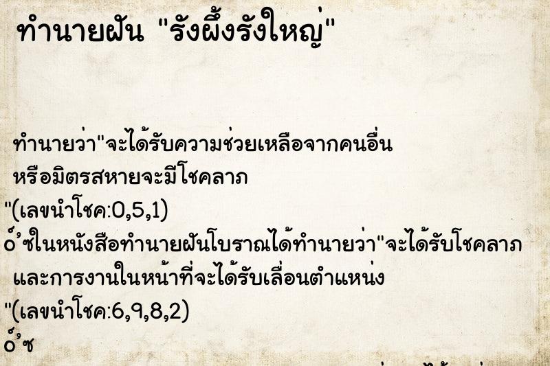 ทำนายฝัน รังผึ้งรังใหญ่ ทำนายฝัน รังผึ้งรังใหญ่
