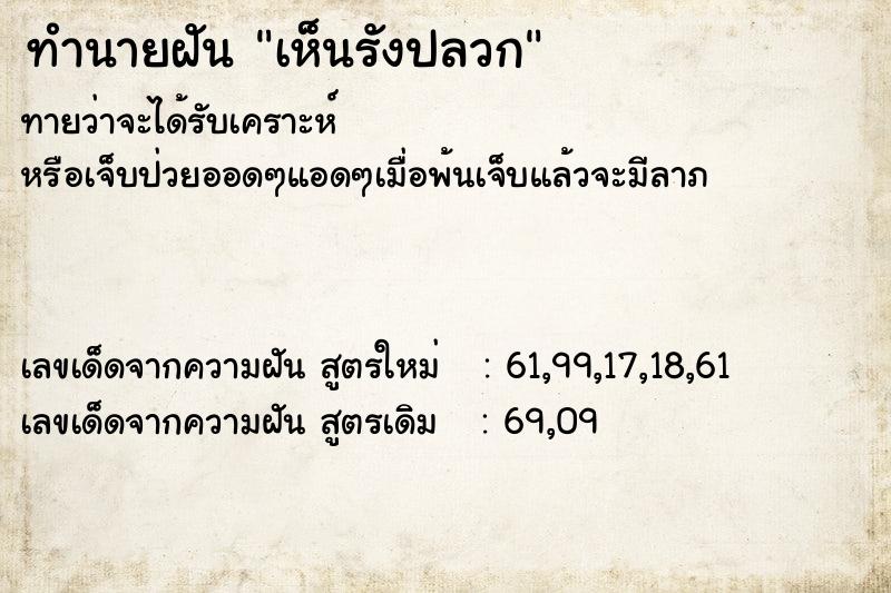 ทำนายฝันเห็นรังปลวก ทำนายฝันทำนายฝันเห็นรังปลวก