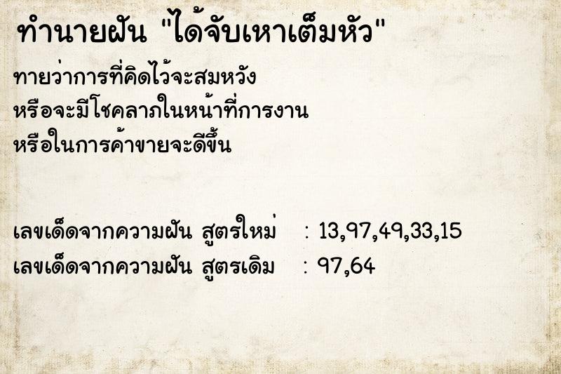 ทำนายฝันทำนายฝันได้จับเหาเต็มหัว