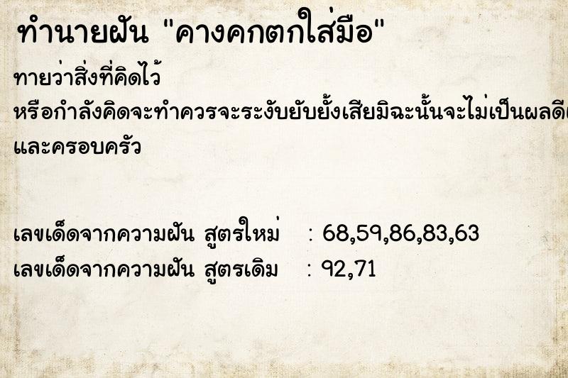 ทำนายฝันคางคกตกใส่มือ ทำนายฝันทำนายฝันคางคกตกใส่มือ