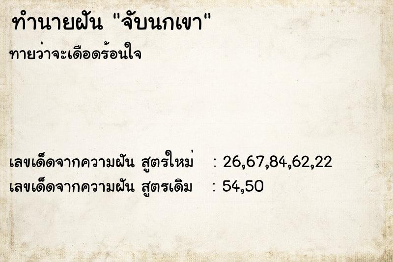 ทำนายฝันทำนายฝันจับนกเขา
