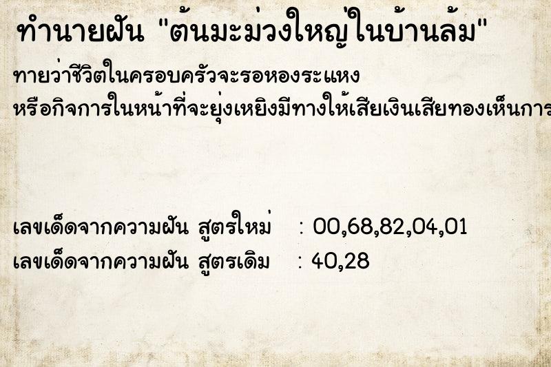 ทำนายฝันทำนายฝันต้นมะม่วงใหญ่ในบ้านล้ม