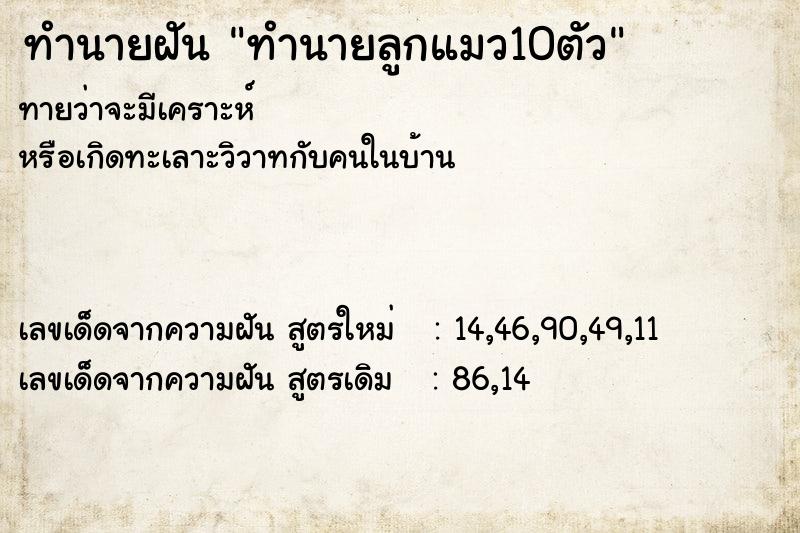 ทำนายฝัน ทำนายลูกแมว10ตัว