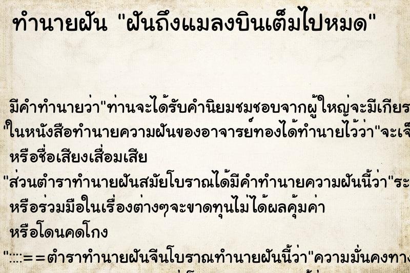 ทำนายฝัน ฝันถึงแมลงบินเต็มไปหมด ทำนายฝัน ฝันถึงแมลงบินเต็มไปหมด