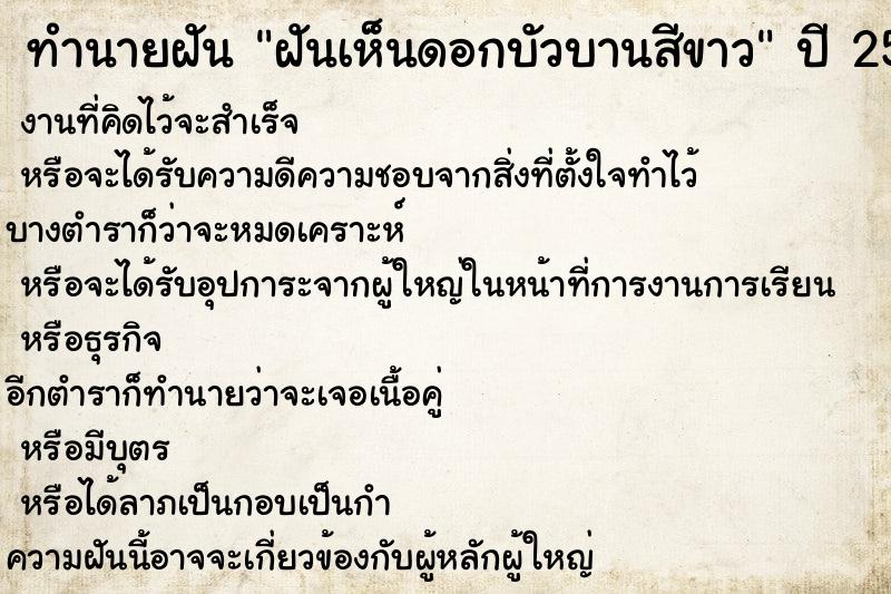 ทำนายฝันฝันเห็นดอกบัวบานสีขาว ทำนายฝันทำนายฝันฝันเห็นดอกบัวบานสีขาว