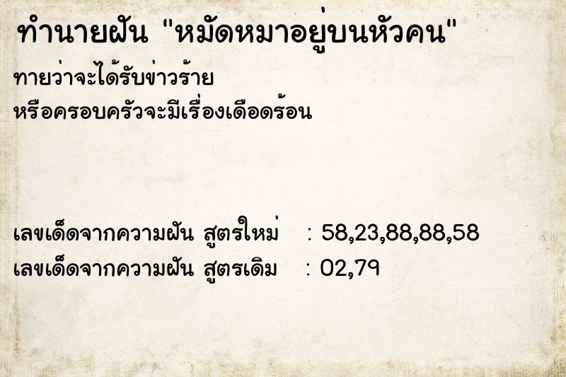 ทำนายฝันทำนายฝันหมัดหมาอยู่บนหัวคน