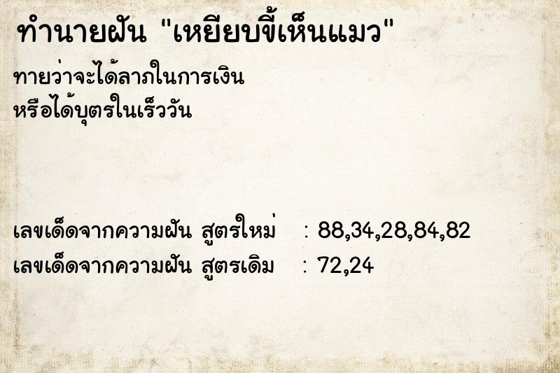 ทำนายฝันทำนายฝันเหยียบขี้เห็นแมว
