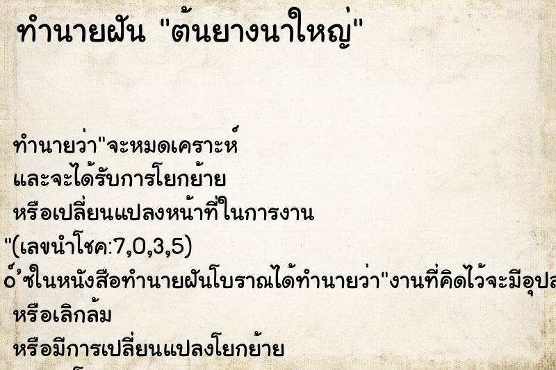 ทำนายฝันต้นยางนาใหญ่ ทำนายฝันทำนายฝันต้นยางนาใหญ่
