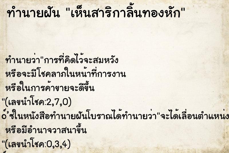 ทำนายฝัน เห็นสาริกาลิ้นทองหัก ทำนายฝัน เห็นสาริกาลิ้นทองหัก