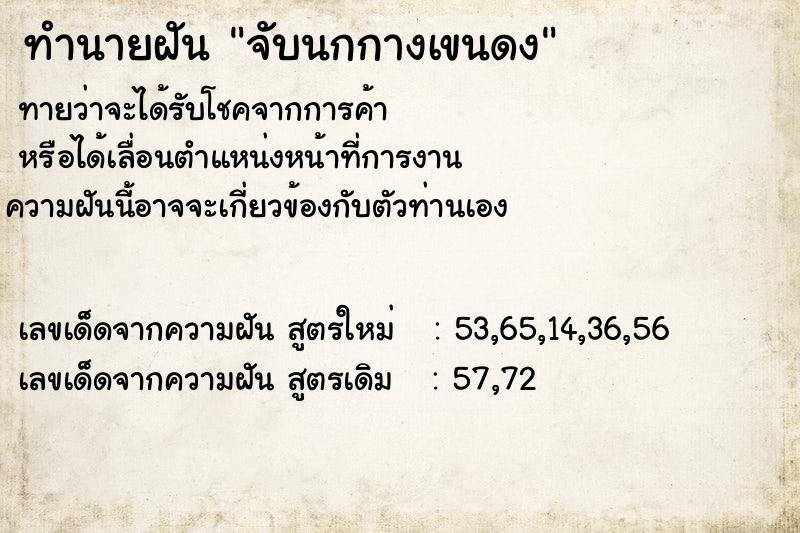 ทำนายฝัน จับนกกางเขนดง ทำนายฝัน จับนกกางเขนดง