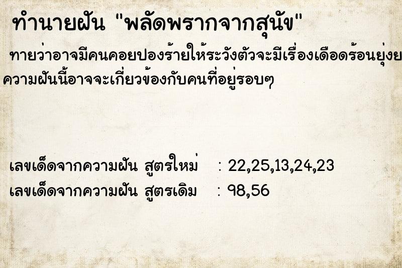 ทำนายฝันพลัดพรากจากสุนัข ทำนายฝันทำนายฝันพลัดพรากจากสุนัข