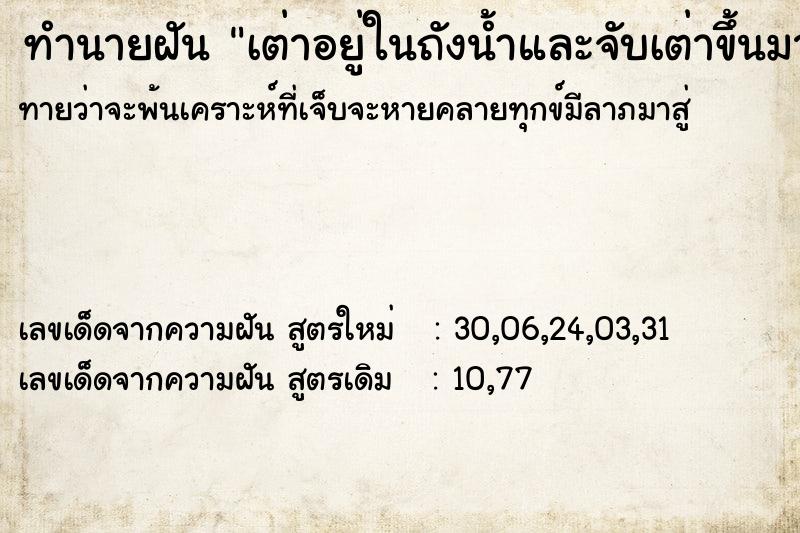 ทำนายฝันทำนายฝันเต่าอยู่ในถังน้ำและจับเต่าขึ้นมาดู