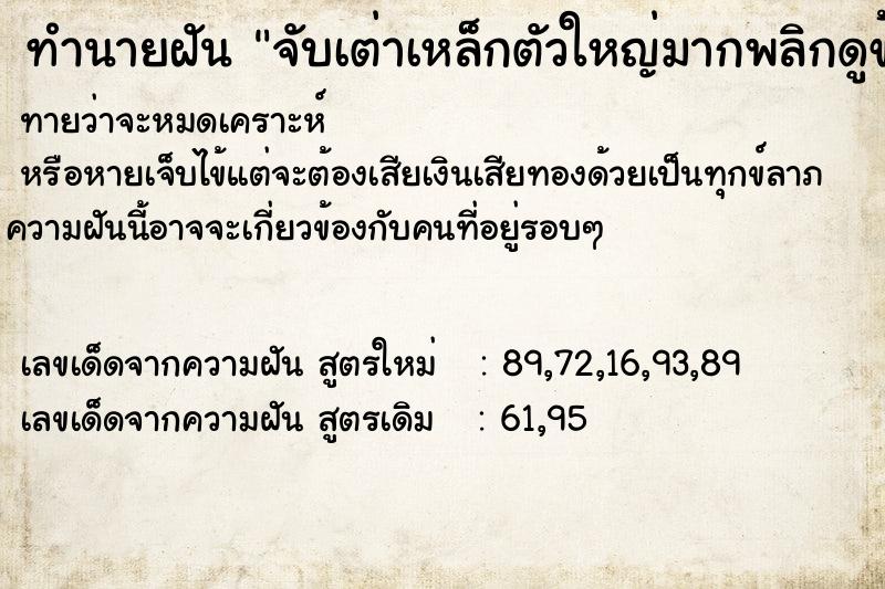 ทำนายฝันจับเต่าเหล็กตัวใหญ่มากพลิกดูข้างล่างเห็นเลข108 ทำนายฝันทำนายฝันจับเต่าเหล็กตัวใหญ่มากพลิกดูข้างล่างเห็นเลข108