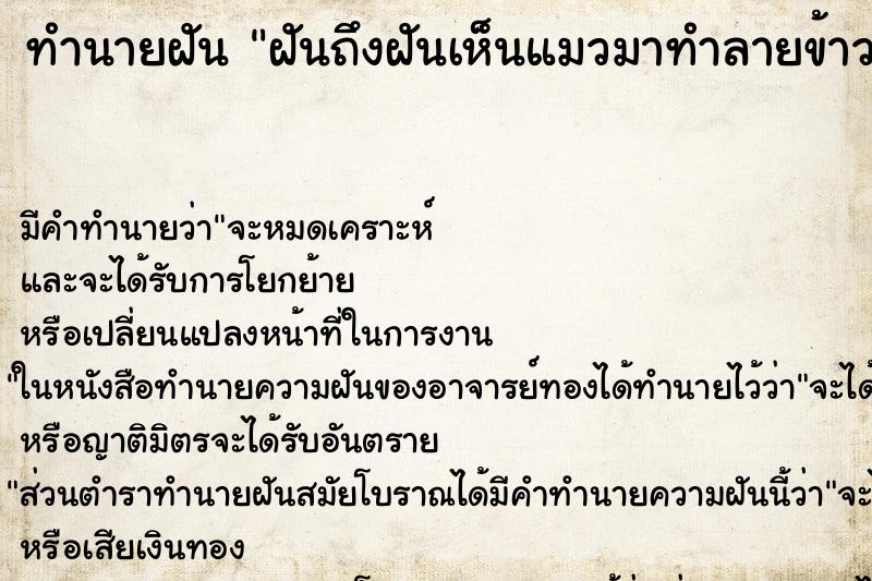 ทำนายฝันฝันถึงฝันเห็นแมวมาทำลายข้าวของ ทำนายฝันทำนายฝันฝันถึงฝันเห็นแมวมาทำลายข้าวของ