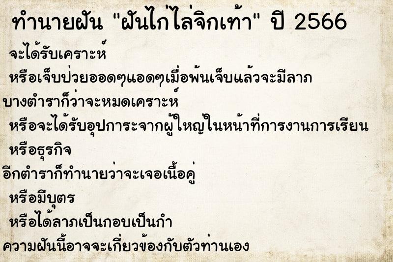 ทำนายฝัน ฝันไก่ไล่จิกเท้า ทำนายฝัน ฝันไก่ไล่จิกเท้า