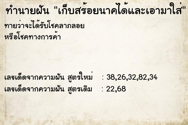 ทำนายฝันเก็บสร้อยนาคได้และเอามาใส่ ทำนายฝันทำนายฝันเก็บสร้อยนาคได้และเอามาใส่