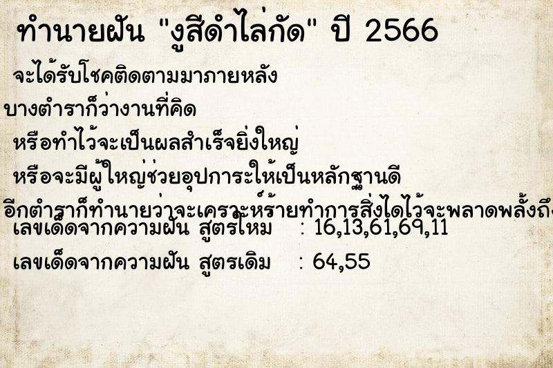 ทำนายฝัน งูสีดำไล่กัด ทำนายฝัน งูสีดำไล่กัด