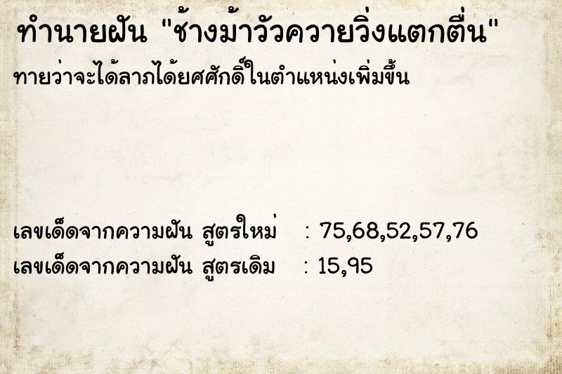 ทำนายฝันช้างม้าวัวควายวิ่งแตกตื่น ทำนายฝันทำนายฝันช้างม้าวัวควายวิ่งแตกตื่น