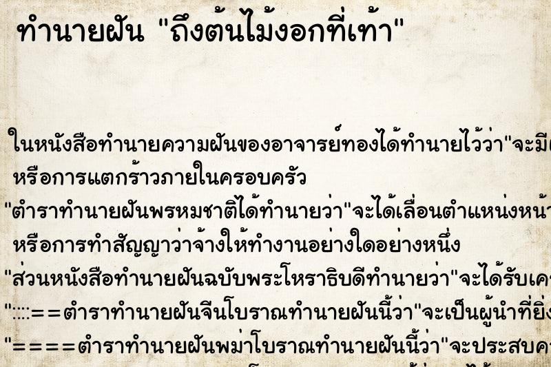 ทำนายฝัน ถึงต้นไม้งอกที่เท้า ทำนายฝัน ถึงต้นไม้งอกที่เท้า